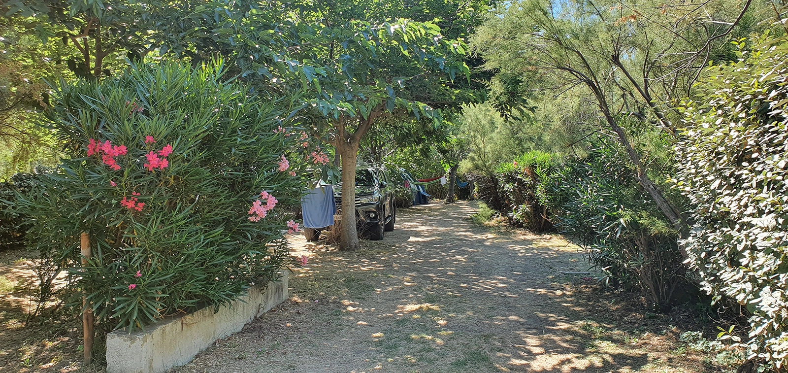 Galerie