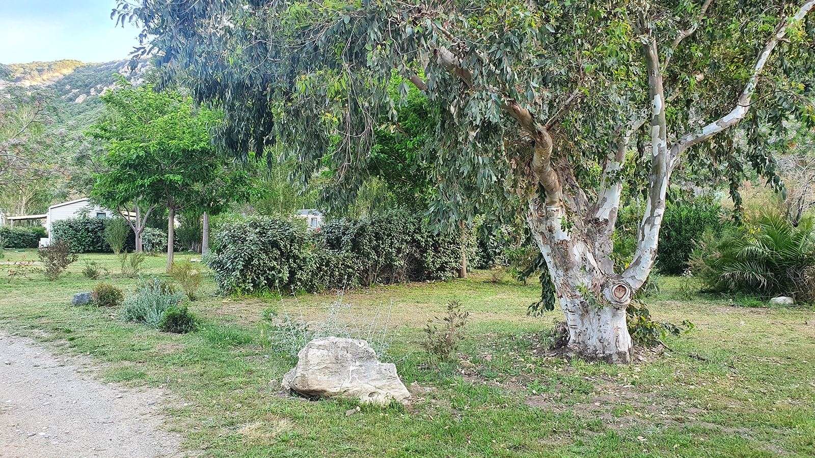 Galerie